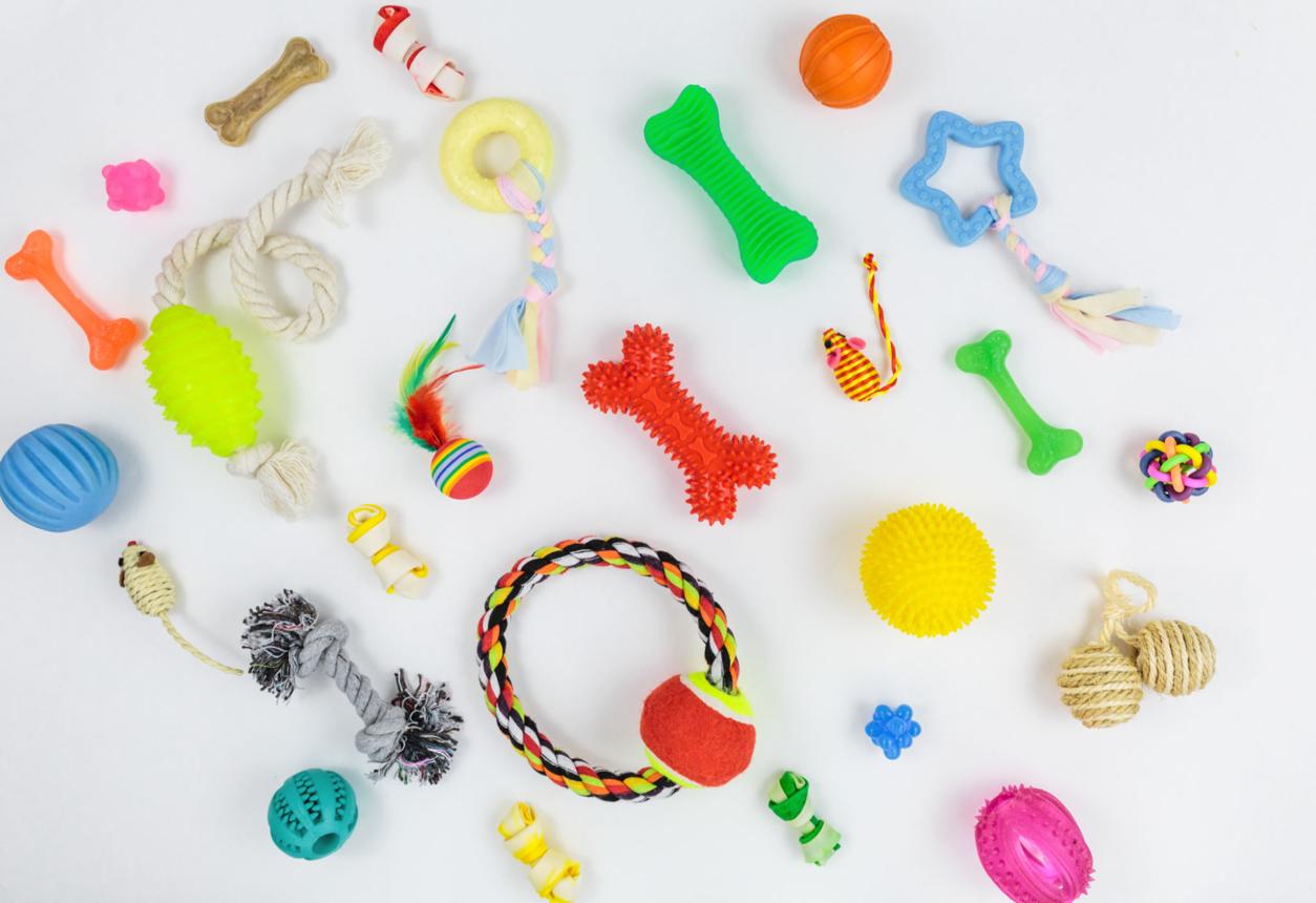 Pet Toys