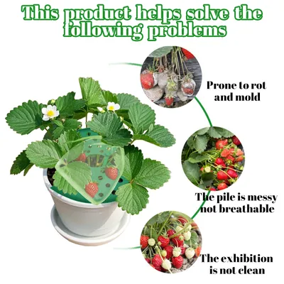 8Pcs Strawberry Plant Support With Bags