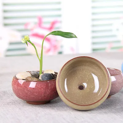 Desktop Succulent Ceramic Craft Flower Pot Ornaments
