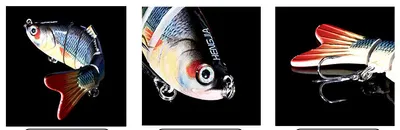 Bait fish