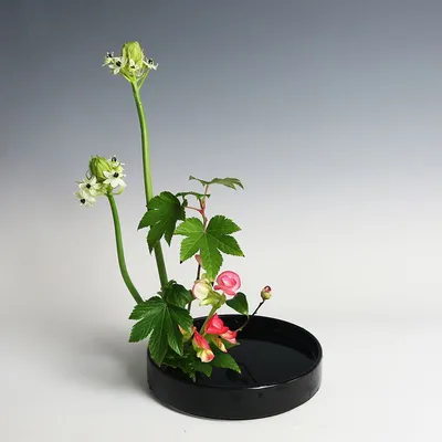 Japanese Flower Arrangement Ceramic Chinese Flower Plate