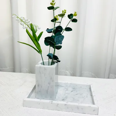 Model Room Bathroom Hydroponic Green Plant Vase
