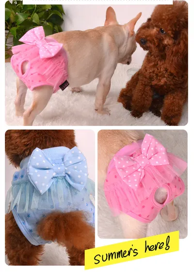 Female Dog Aunt Physiological Pants Panties