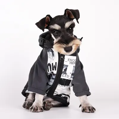 Dog Poker Jacket Reflective Raincoat Pet Cotton