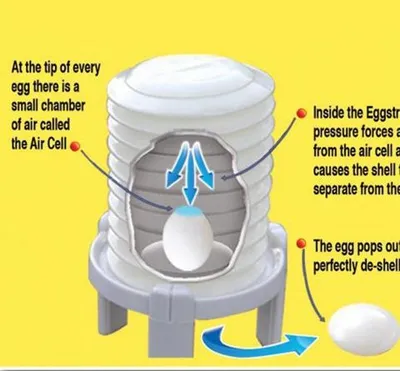 Egg laying machine, cooked egg sheller, non eggshell eggshell