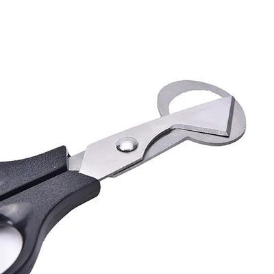 Hot Sale Pigeon Quail Egg Scissor Bird Cutter Opener Kitchen Tool Clipper Cigar Cracker Blade Wholesale Black Color 1pcs