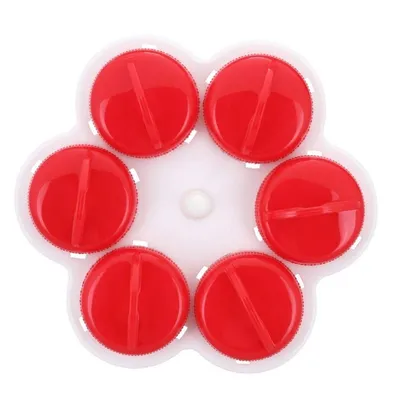 Egg Tools 6 Food Packaging Class Placstic Boiler Hard Soft Boiled Cooker Kitchen Tool