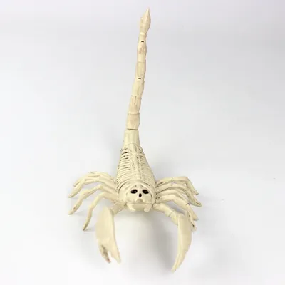 Halloween Decoration Artificial Animal Skeleton