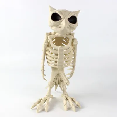 Halloween Decoration Artificial Animal Skeleton