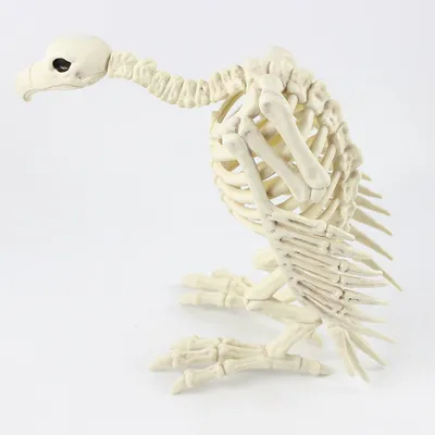 Halloween Decoration Artificial Animal Skeleton