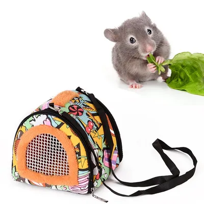 Small pet cotton nest out backpack