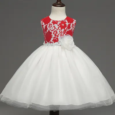 new European girls retro lace dress baby dress skirts wholesale baby full moon4