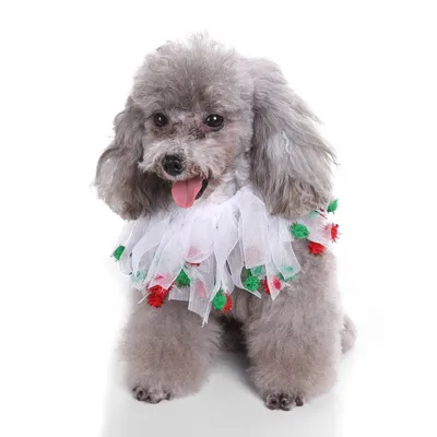 Pet christmas hat bib
