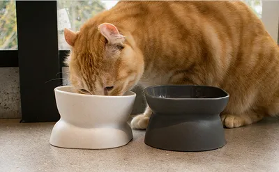 Protect The Diagonal Mouth Of Cervical Vertebra Bowl From Upsetting