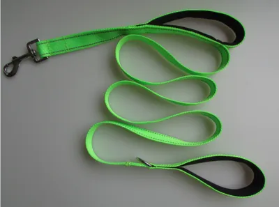 Pet Double Handle Pull Leash