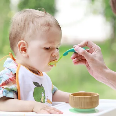 Elephant Dinner Plate For Infants And Young Children