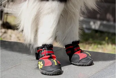 Big Dog Shoes Non-slip Wear Dog Shoes Pet Shoes