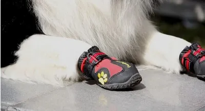Big Dog Shoes Non-slip Wear Dog Shoes Pet Shoes