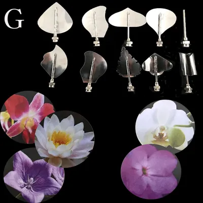New 3d Jelly Mould Cake Fondant Flower Art Tools Set of 10 Needle Tubes Jelly Flower Utility Knife