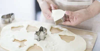 6-piece dinosaur baking mold set