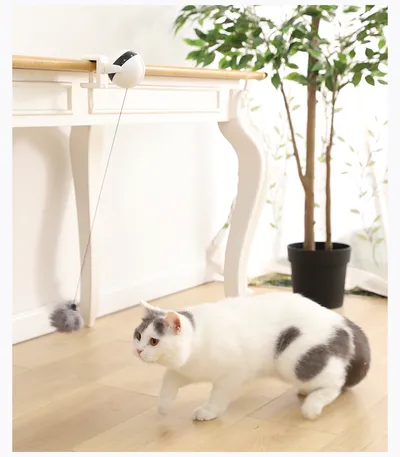 Pet Cat Toy Electronic Motion Cat Toy Interactive