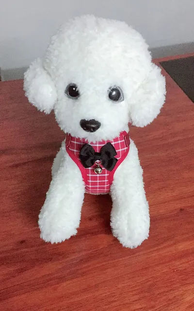 Small dog leash chest strap