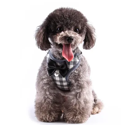Small dog leash chest strap