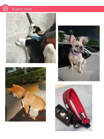 Anti Strangulation Medium Teddy Pet Products