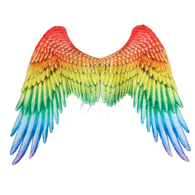 أجنحة ملائكية مزخرفة بألوان قوس قزح