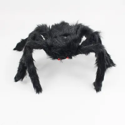 Halloween Decoration Spider Plush Spider Web