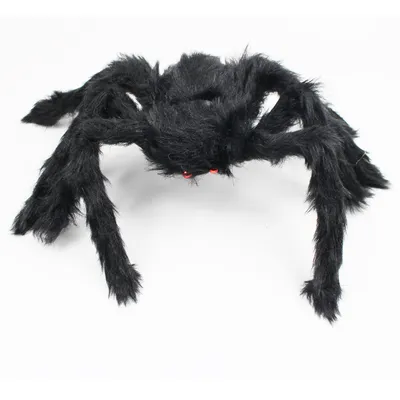 Halloween Decoration Spider Plush Spider Web