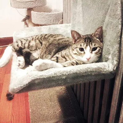 Cat bed cat hammock