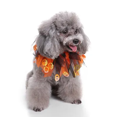 Pet christmas hat bib