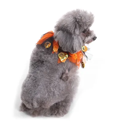 Pet christmas hat bib