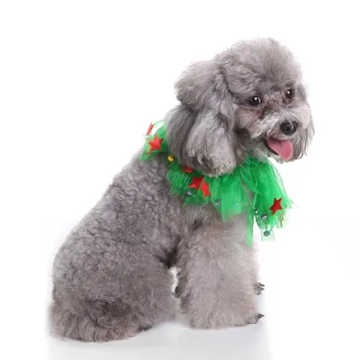Pet christmas hat bib
