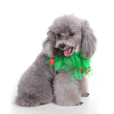 Pet christmas hat bib