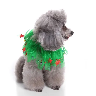 Pet christmas hat bib