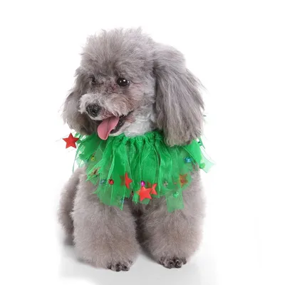 Pet christmas hat bib