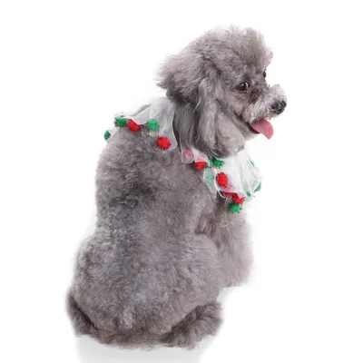 Pet christmas hat bib