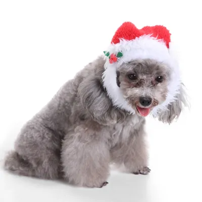 Pet christmas hat bib