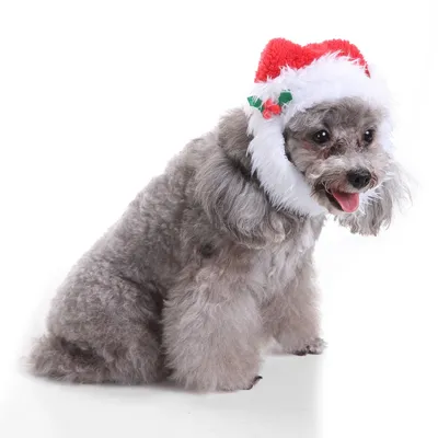 Pet christmas hat bib