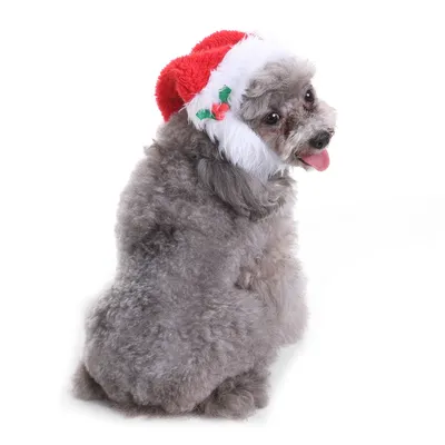 Pet christmas hat bib