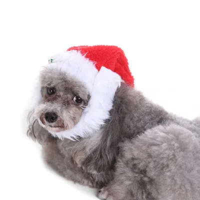 Pet christmas hat bib