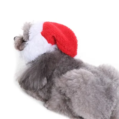 Pet christmas hat bib