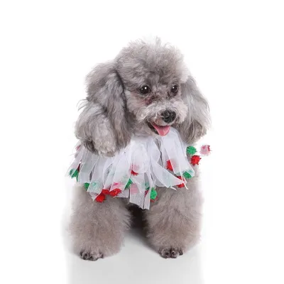 Pet christmas hat bib