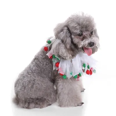 Pet christmas hat bib