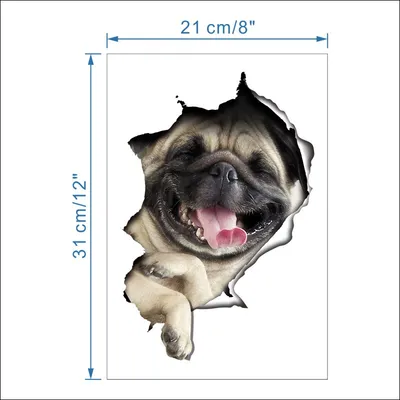 3d Animal Wall Sticker