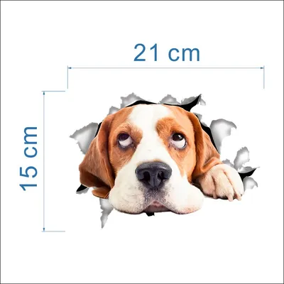 3d Animal Wall Sticker