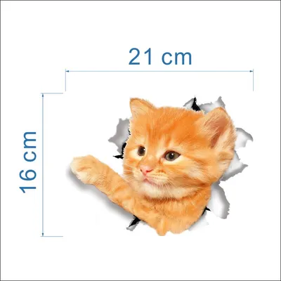 3d Animal Wall Sticker