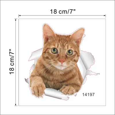 3d Animal Wall Sticker